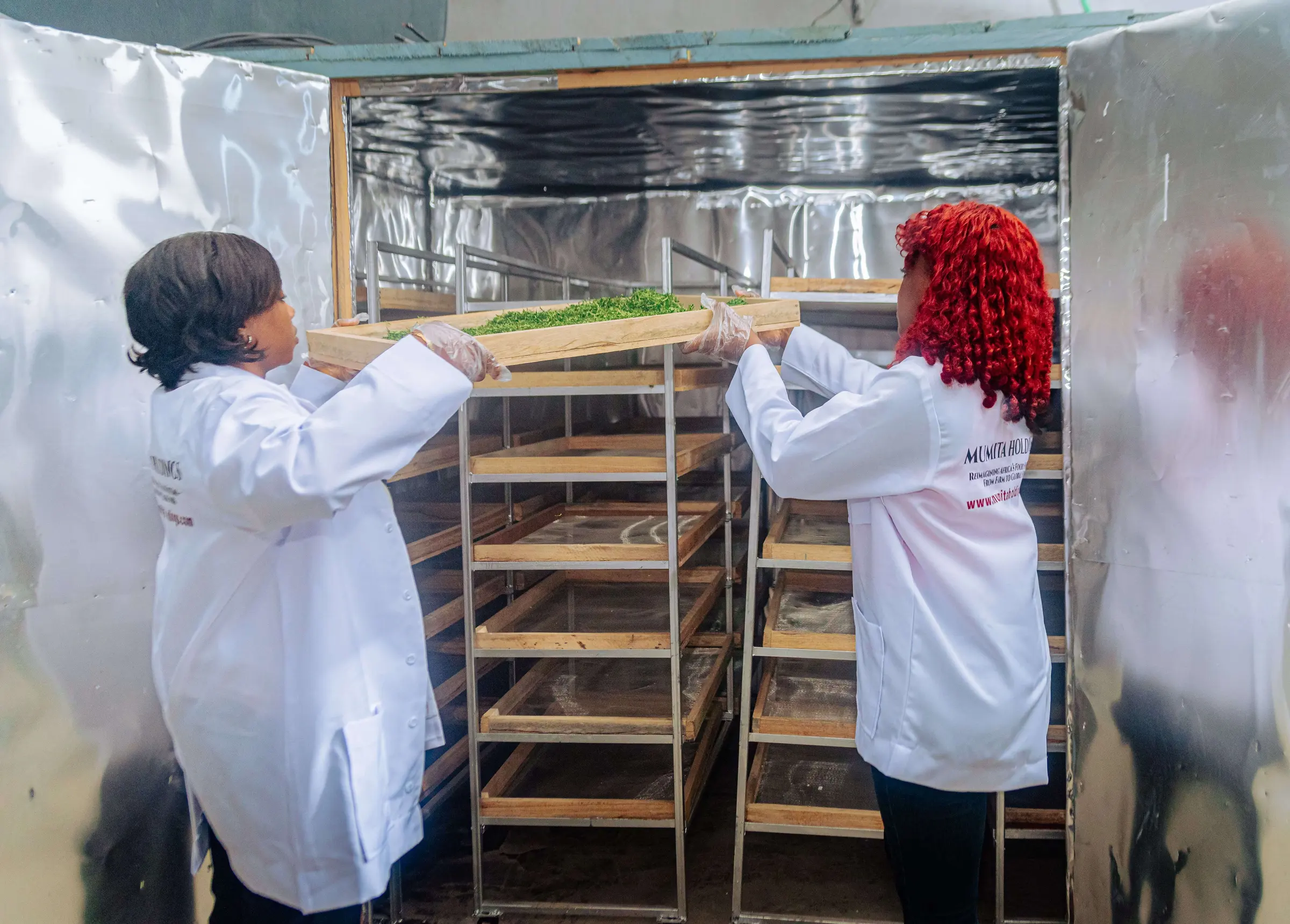Two staff in Mumita Holdings coats slide trays into a dryer