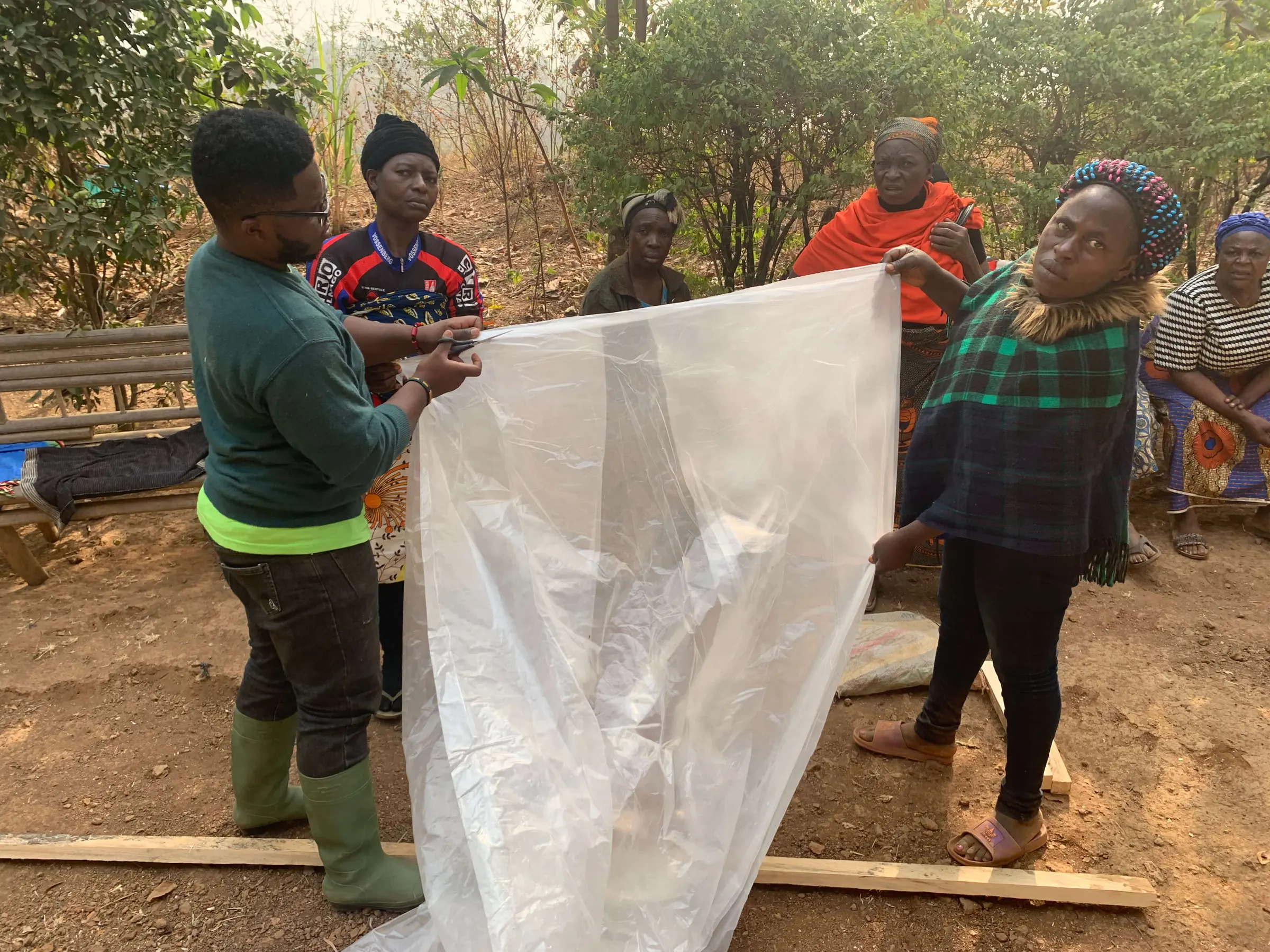 Farmers stretching a clear plastic sheet over a greenhouse frame