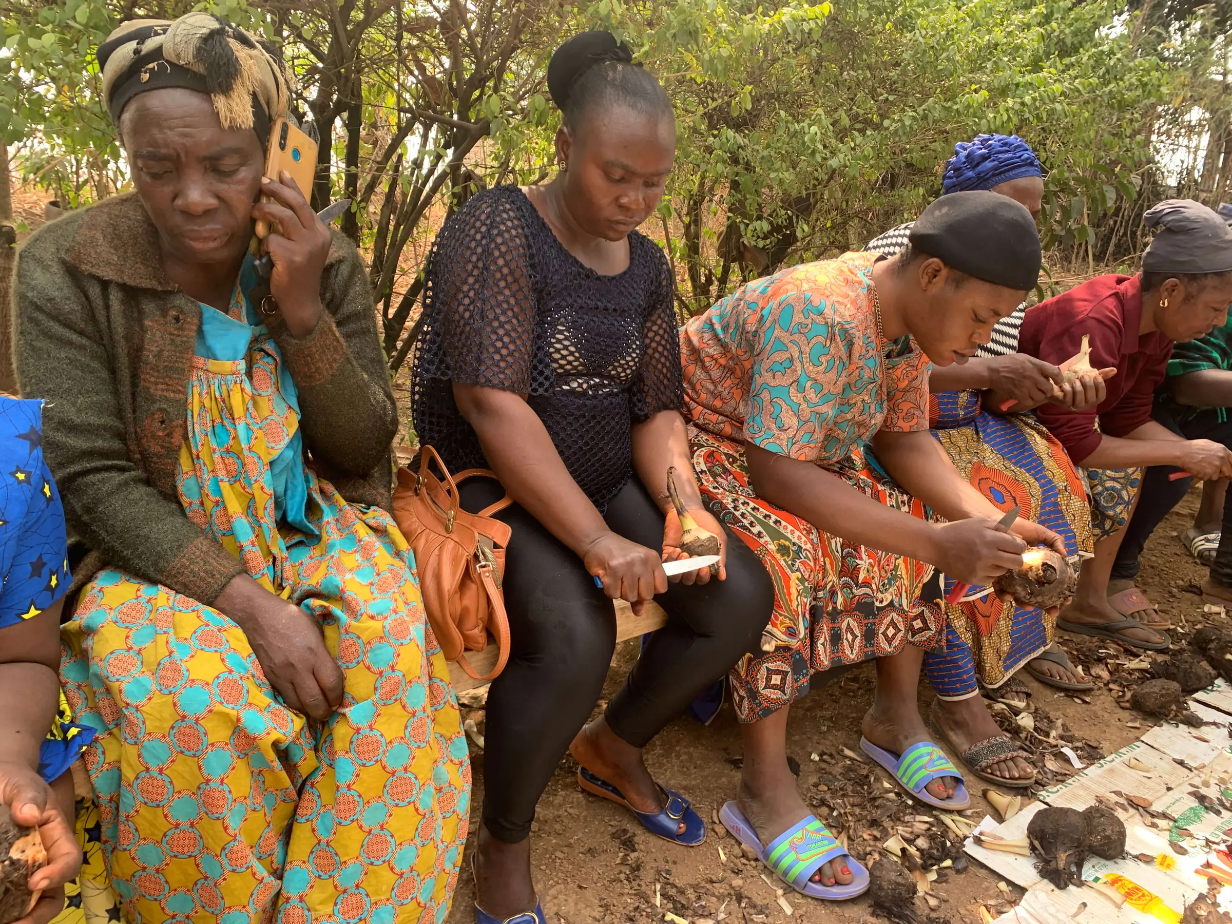 Women seated on a bench prepare planting material together outdoors