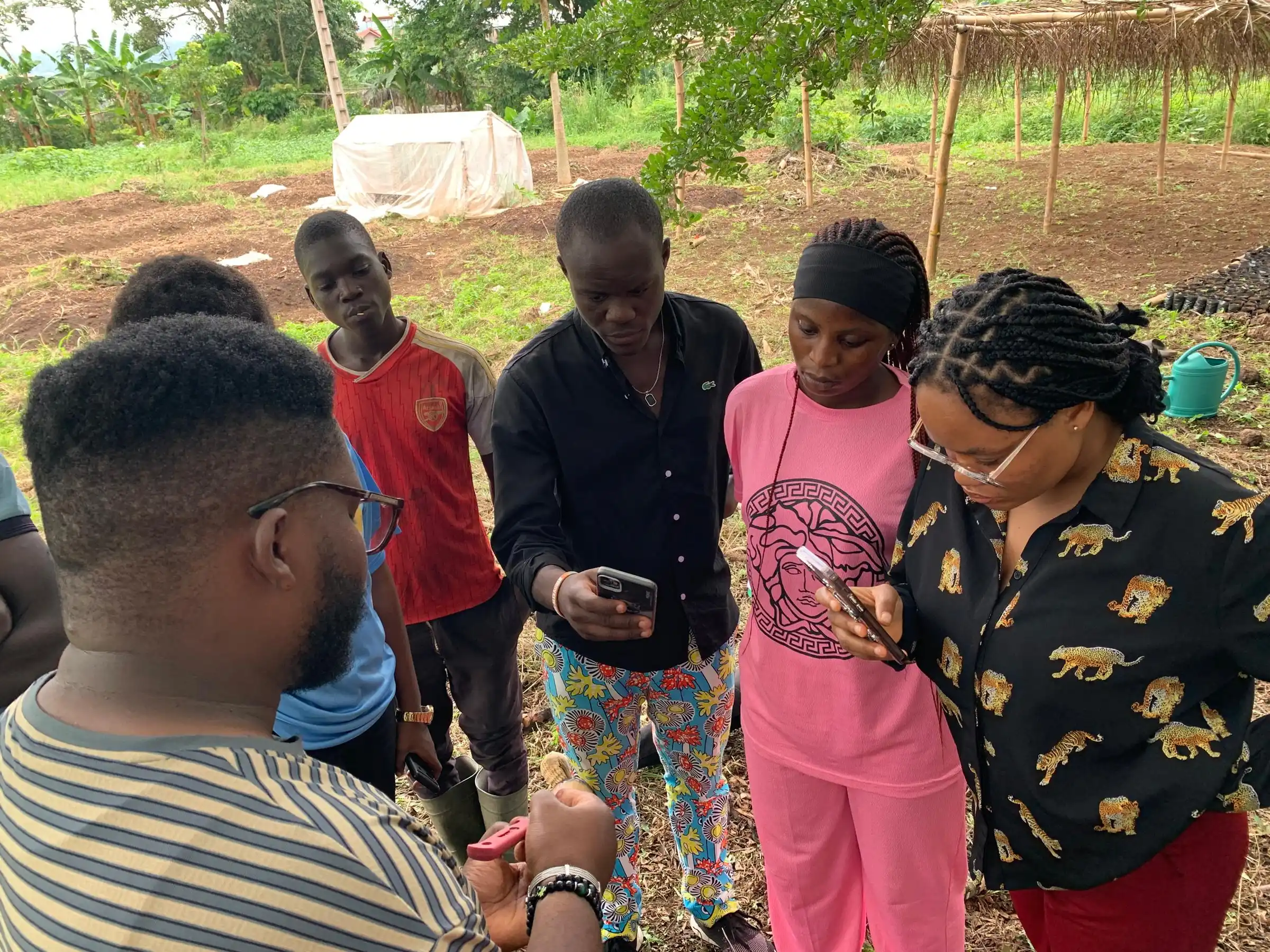 Mumita field staff and young farmers look at their phones together on a farm plot, a greenhouse frame behind