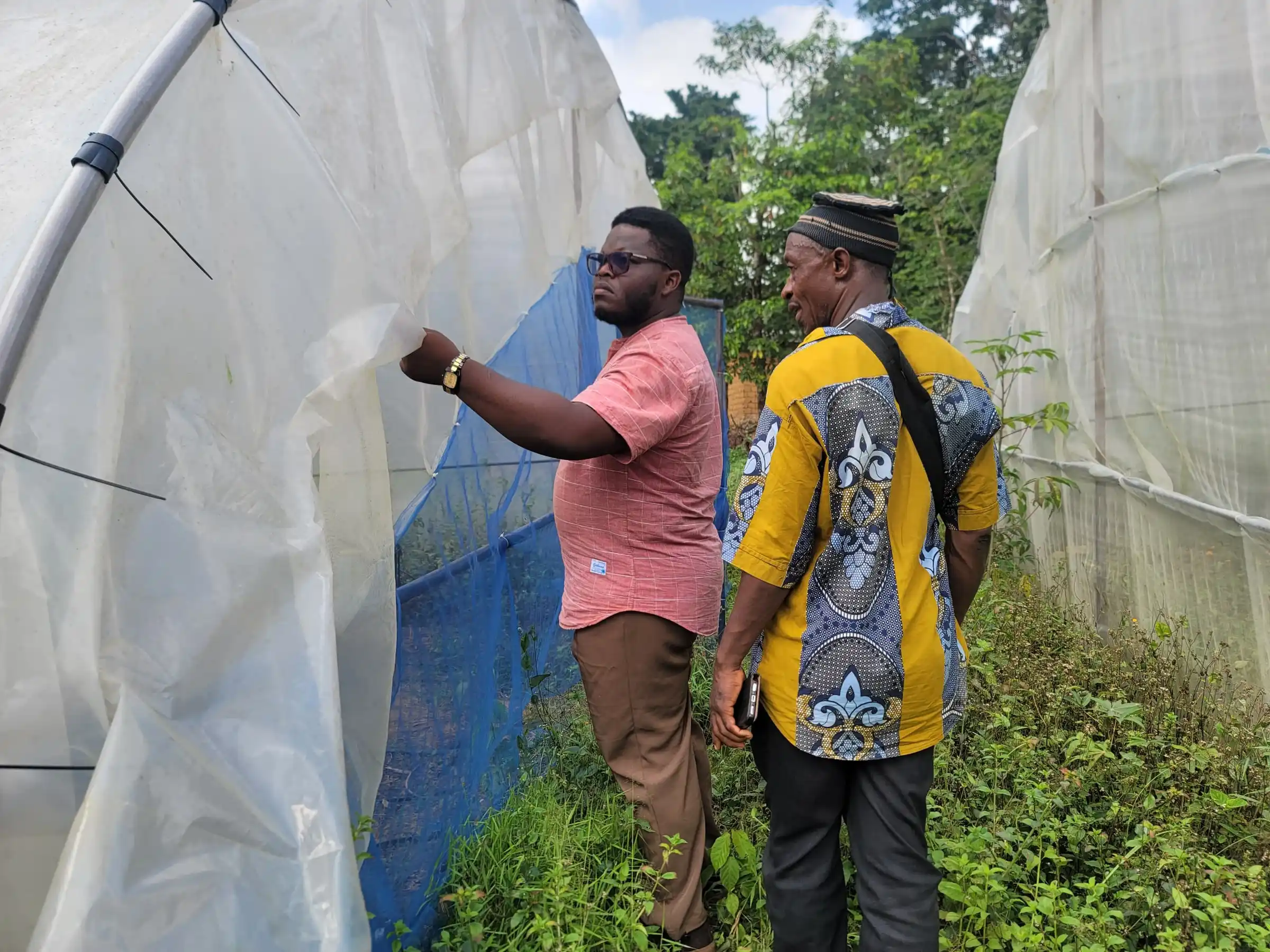 Two consultants inspecting the cover and insect netting of a greenhouse