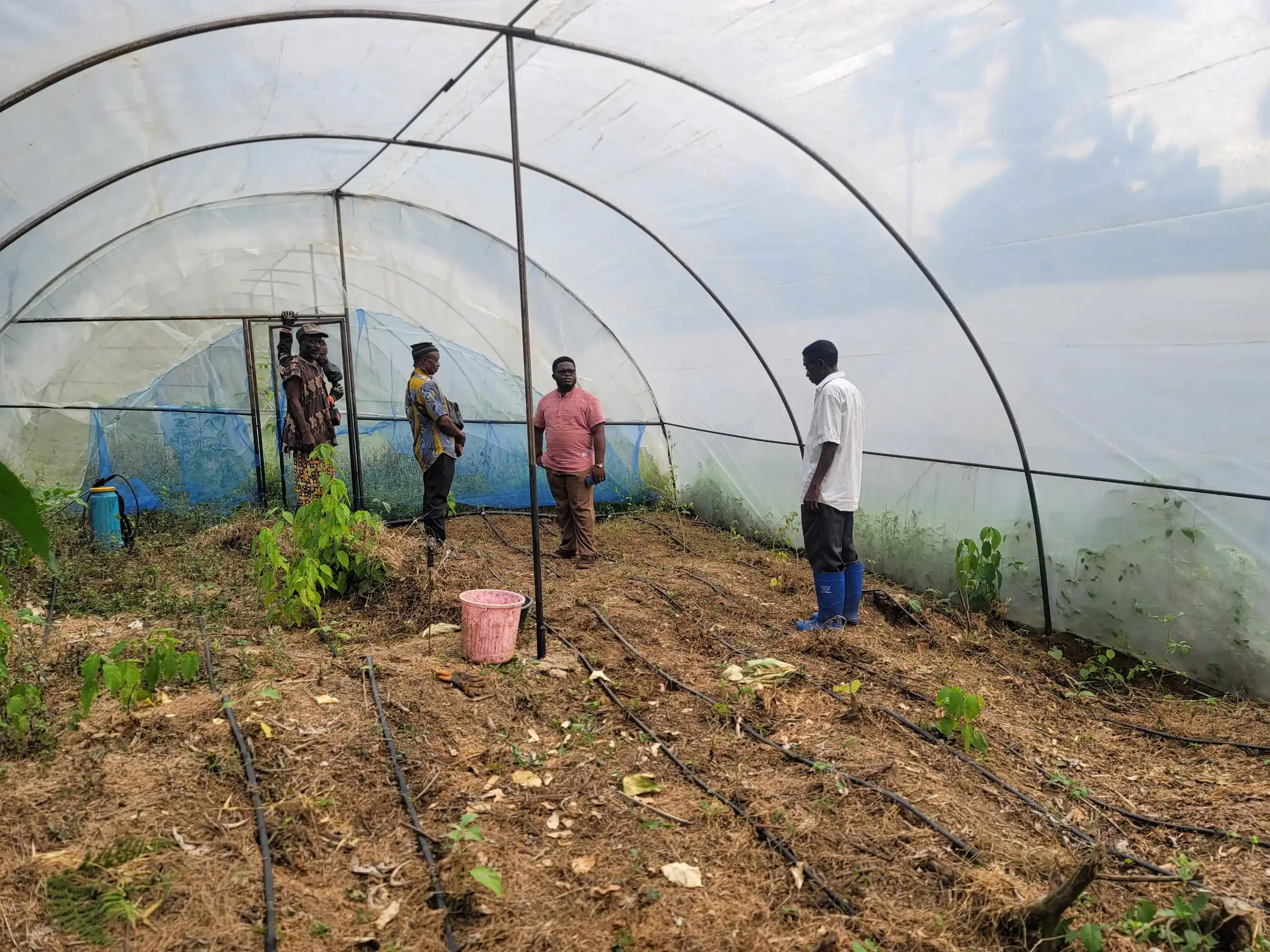 Staff and farmers inside a greenhouse fitted with drip irrigation lines