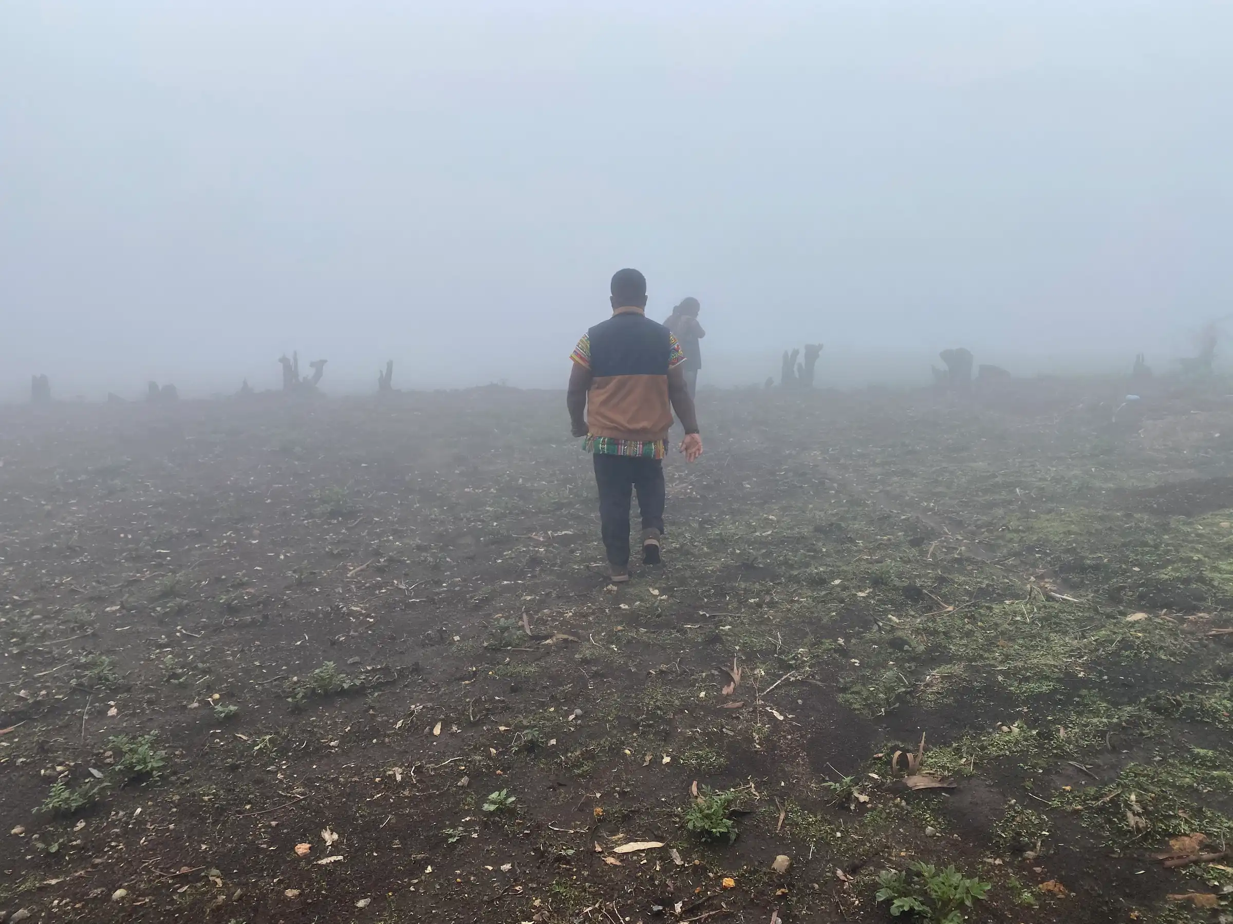 A man walks into a foggy, freshly cleared highland field