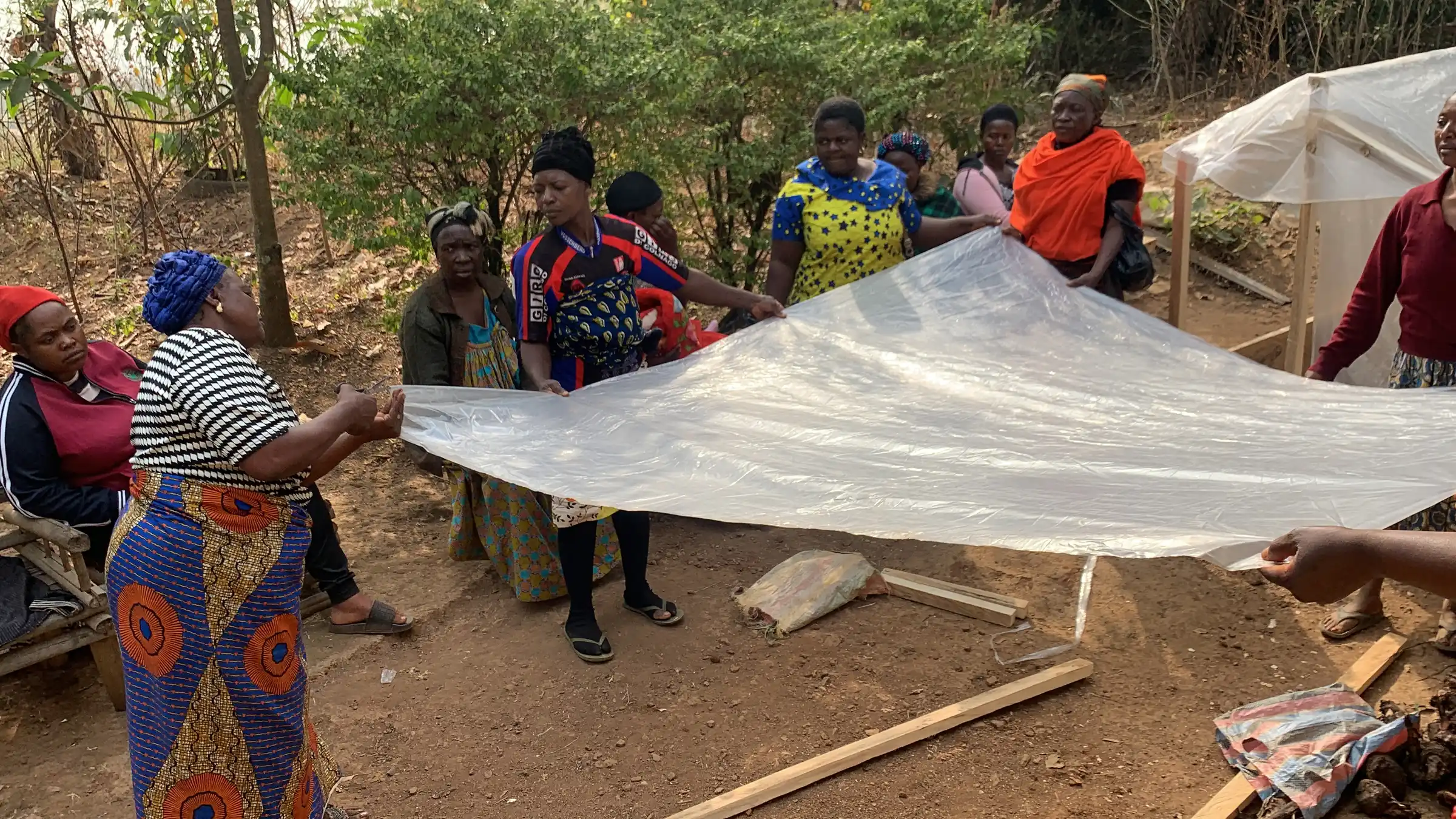 Women unroll a plastic sheet at an outdoor greenhouse-building session