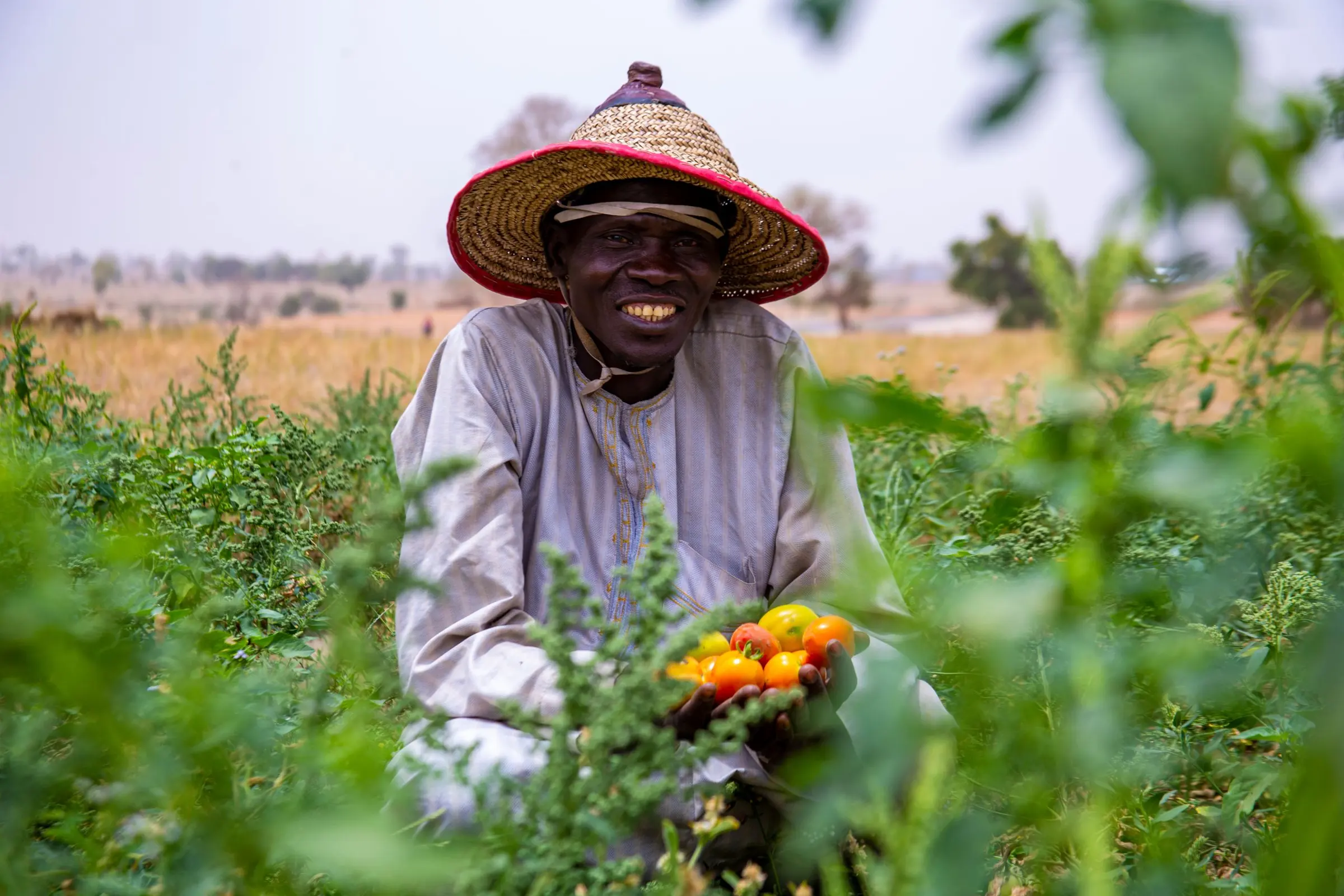 A smiling farmer in a woven straw hat holds up ripe tomatoes in a green field