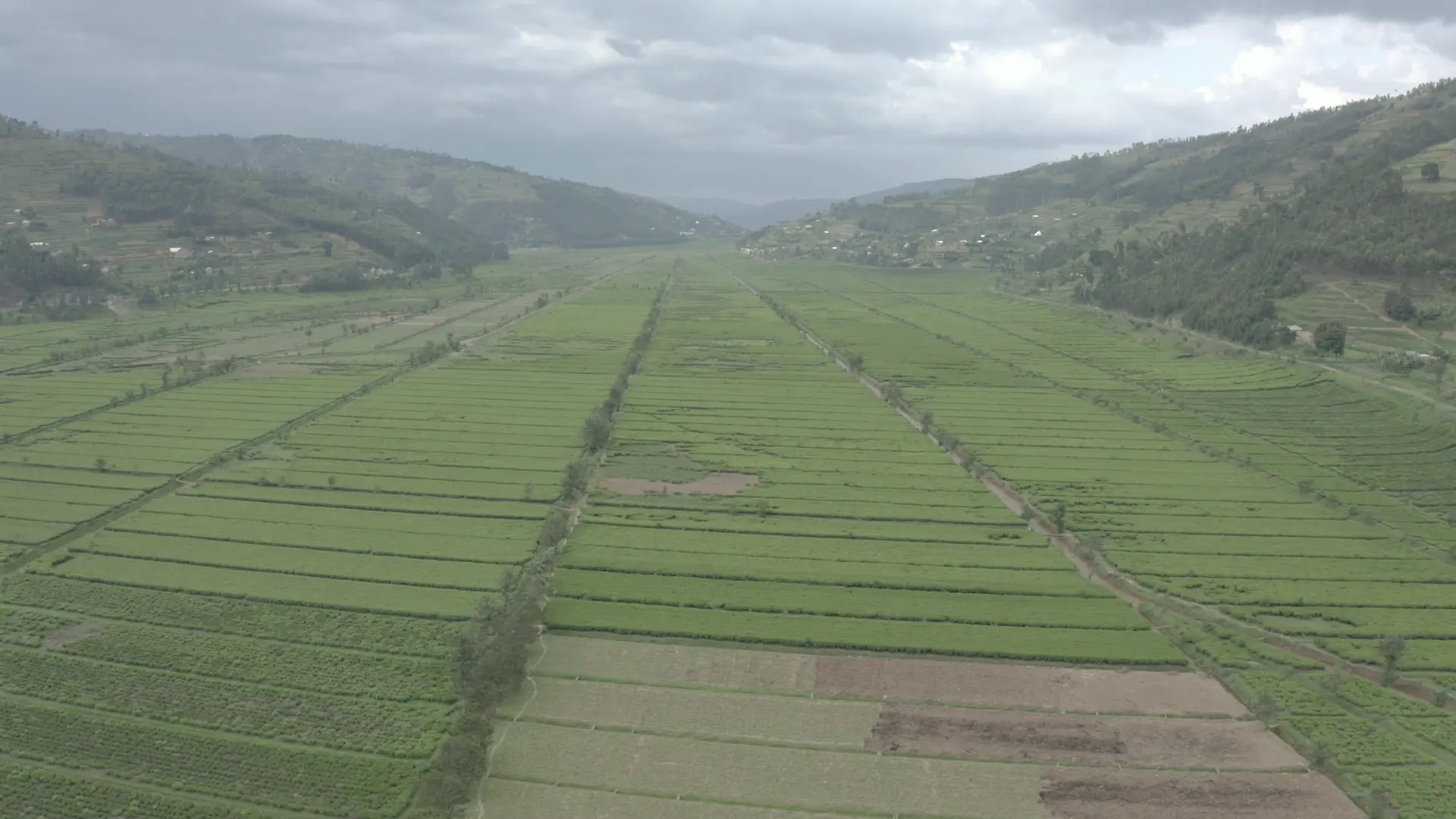 Drone flight down a valley floor of rice paddies between green hills